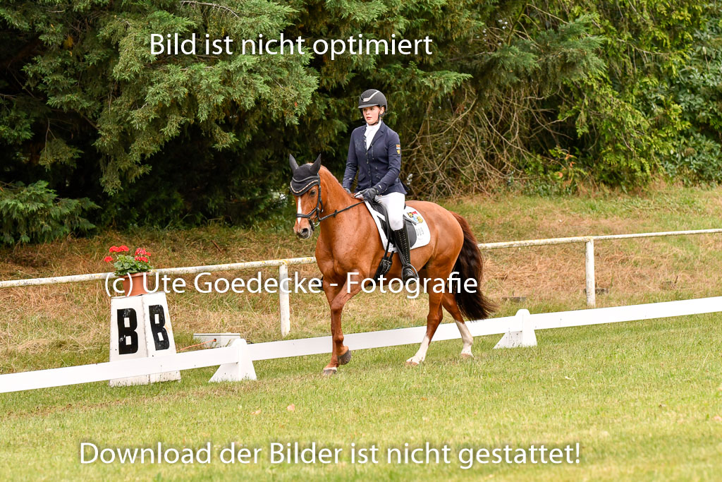 Goldene Schärpe Ponys in Hohenberg Krusemark 2024 | 12072024 Dressur _0522 