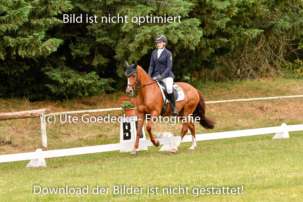 Goldene Schärpe Ponys in Hohenberg Krusemark 2024 | 12072024 Dressur _0523 