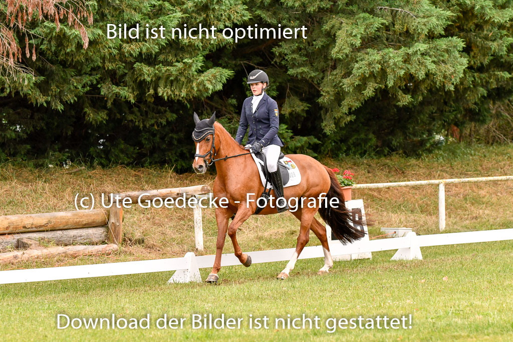 Goldene Schärpe Ponys in Hohenberg Krusemark 2024 | 12072024 Dressur _0524 