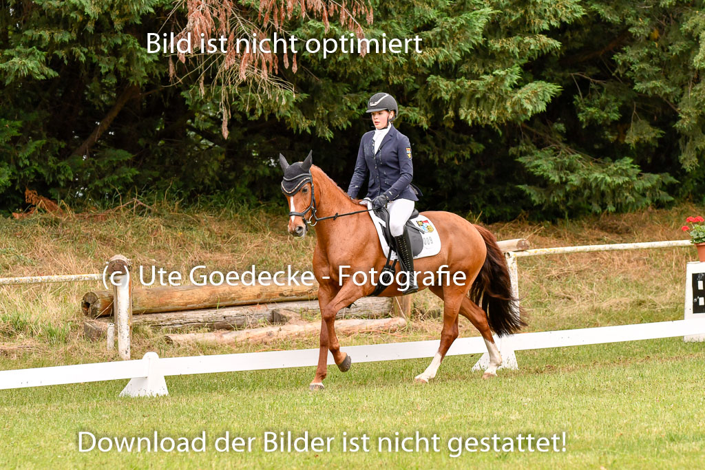 Goldene Schärpe Ponys in Hohenberg Krusemark 2024 | 12072024 Dressur _0525 