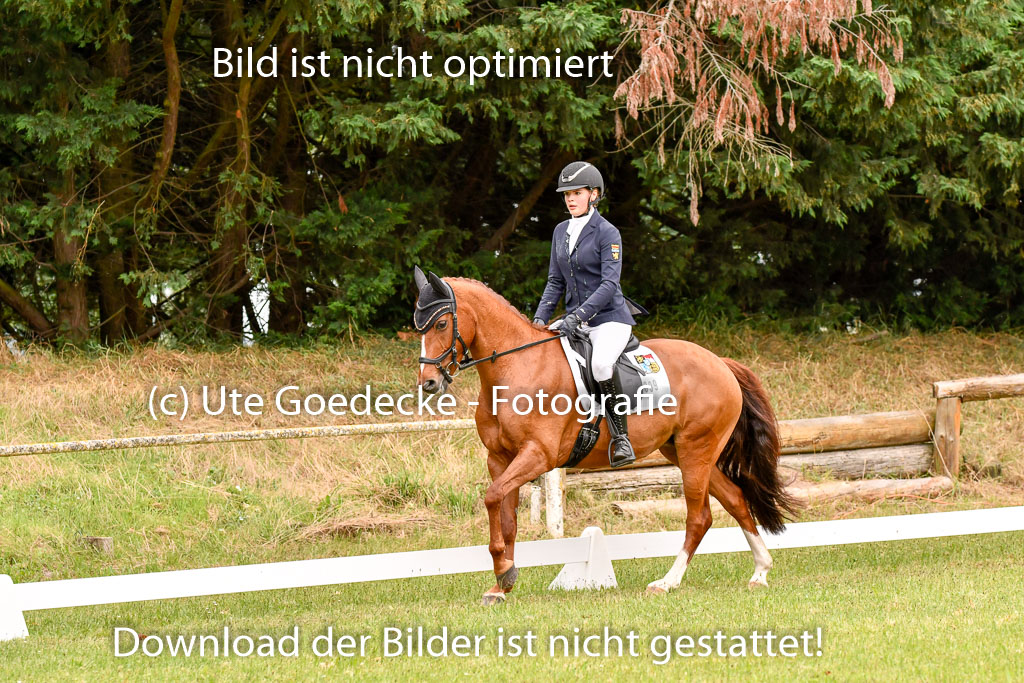 Goldene Schärpe Ponys in Hohenberg Krusemark 2024 | 12072024 Dressur _0526