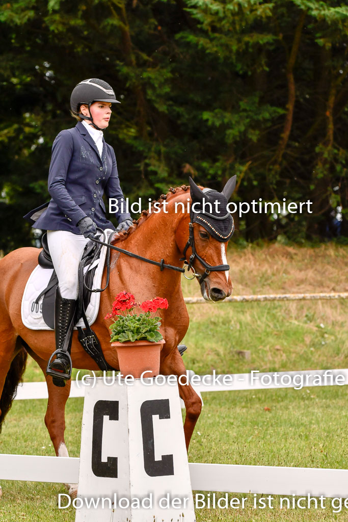 Goldene Schärpe Ponys in Hohenberg Krusemark 2024 | 12072024 Dressur _0527