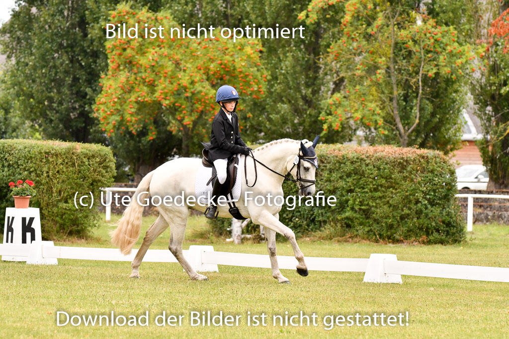 Goldene Schärpe Ponys in Hohenberg Krusemark 2024 | 12072024 Dressur _0528