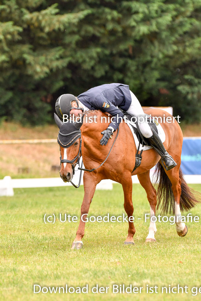 Goldene Schärpe Ponys in Hohenberg Krusemark 2024 | 12072024 Dressur _0531 