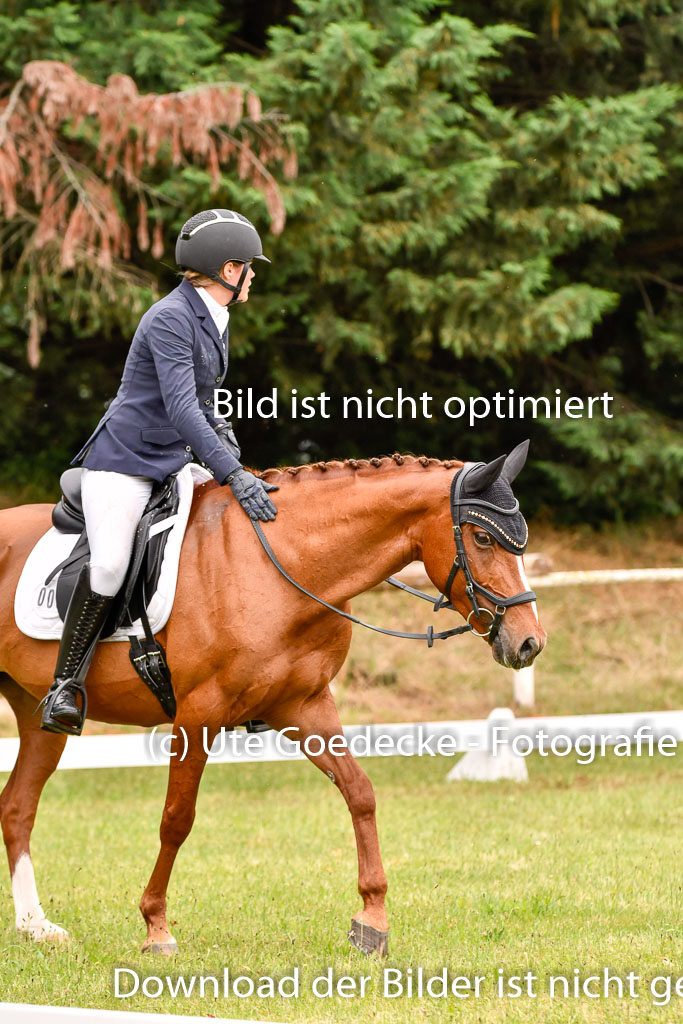 Goldene Schärpe Ponys in Hohenberg Krusemark 2024 | 12072024 Dressur _0532 