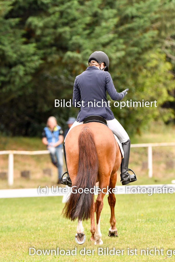 Goldene Schärpe Ponys in Hohenberg Krusemark 2024 | 12072024 Dressur _0533