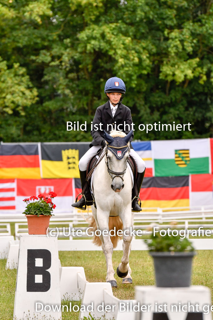 Goldene Schärpe Ponys in Hohenberg Krusemark 2024 | 12072024 Dressur _0536 