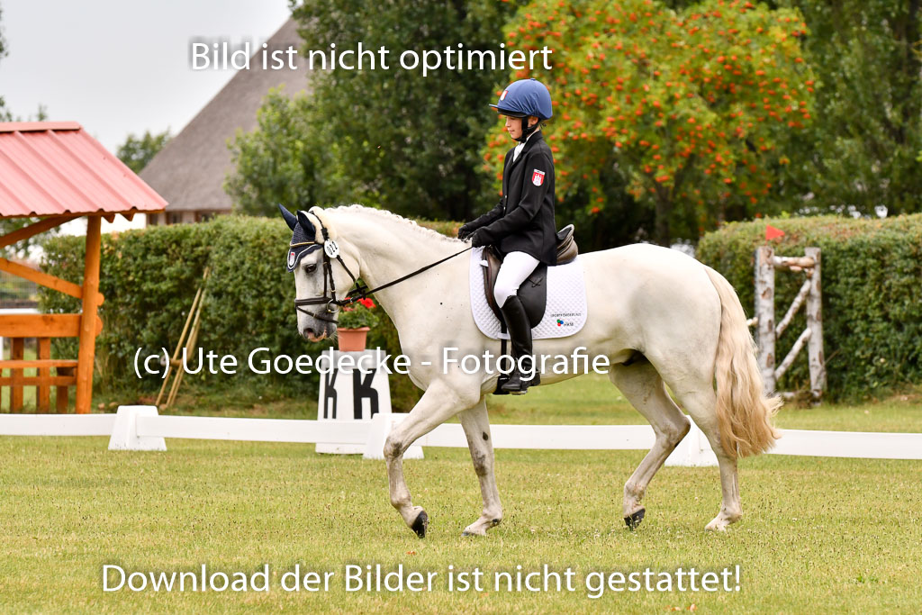 Goldene Schärpe Ponys in Hohenberg Krusemark 2024 | 12072024 Dressur _0539