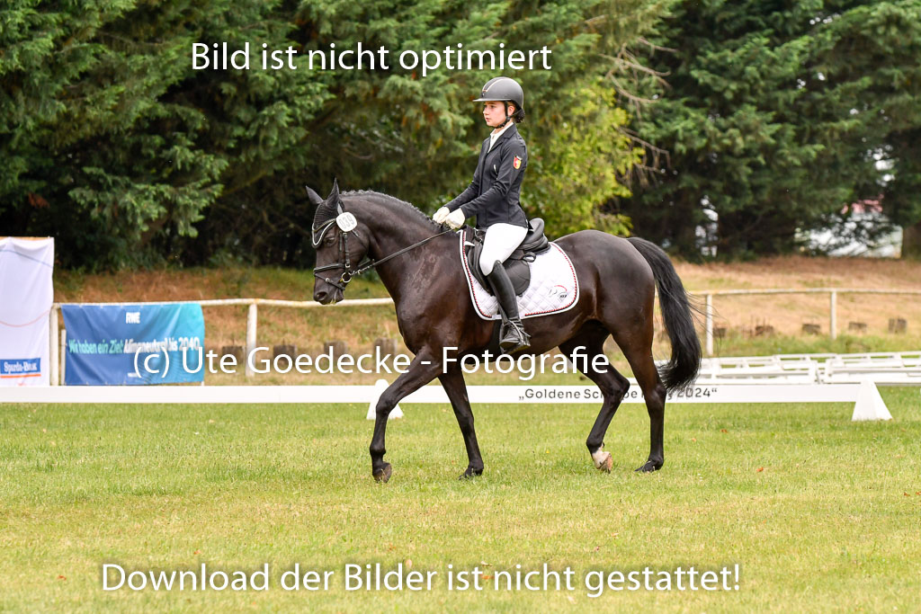 Goldene Schärpe Ponys in Hohenberg Krusemark 2024 | 12072024 Dressur _0540