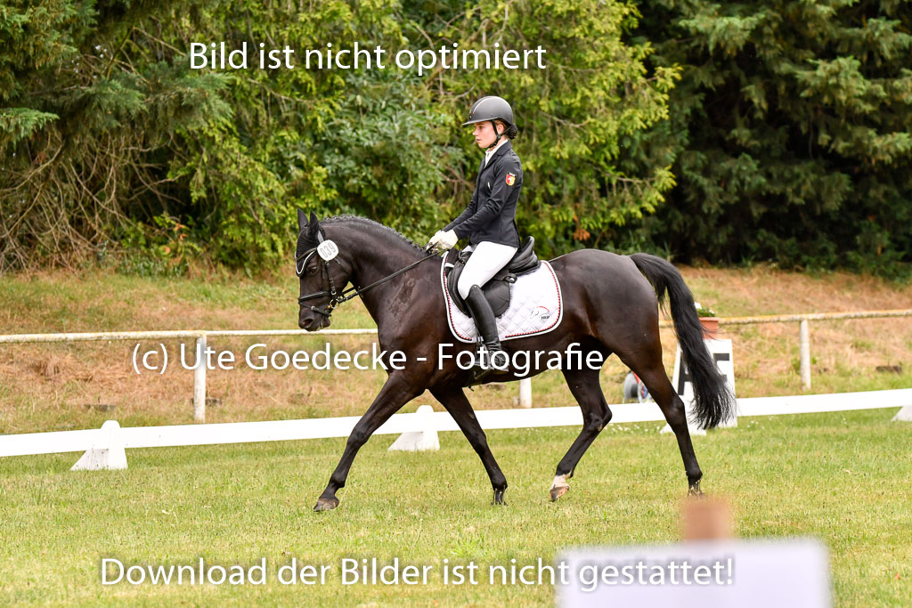 Goldene Schärpe Ponys in Hohenberg Krusemark 2024 | 12072024 Dressur _0541