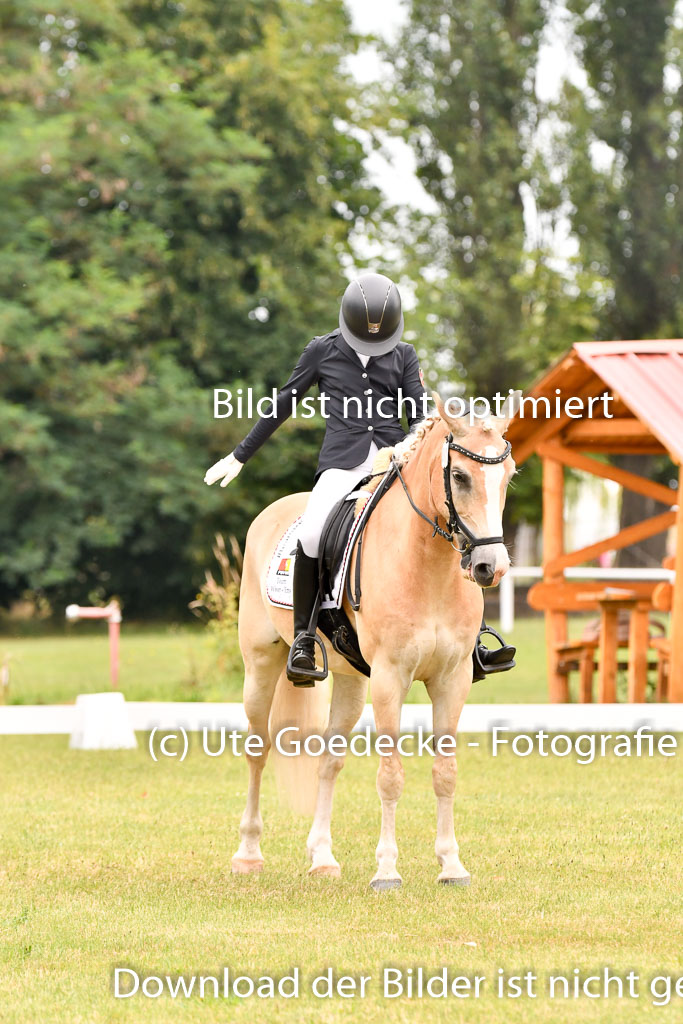 Goldene Schärpe Ponys in Hohenberg Krusemark 2024 | 12072024 Dressur _0544 