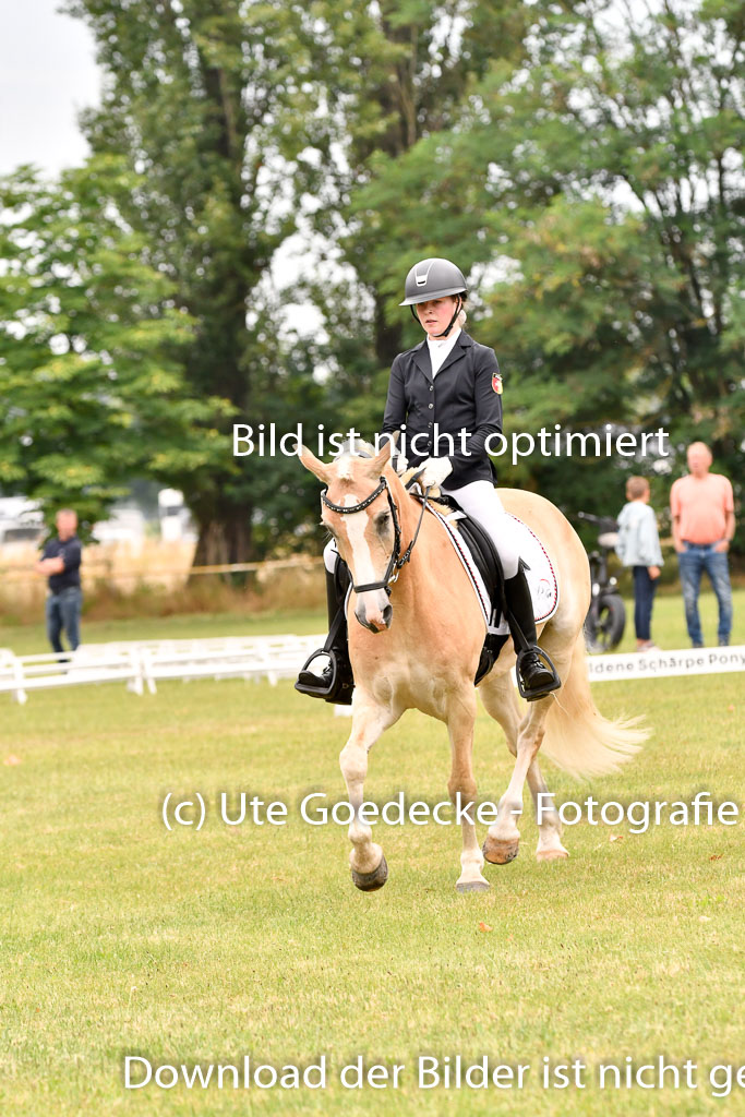 Goldene Schärpe Ponys in Hohenberg Krusemark 2024 | 12072024 Dressur _0547 