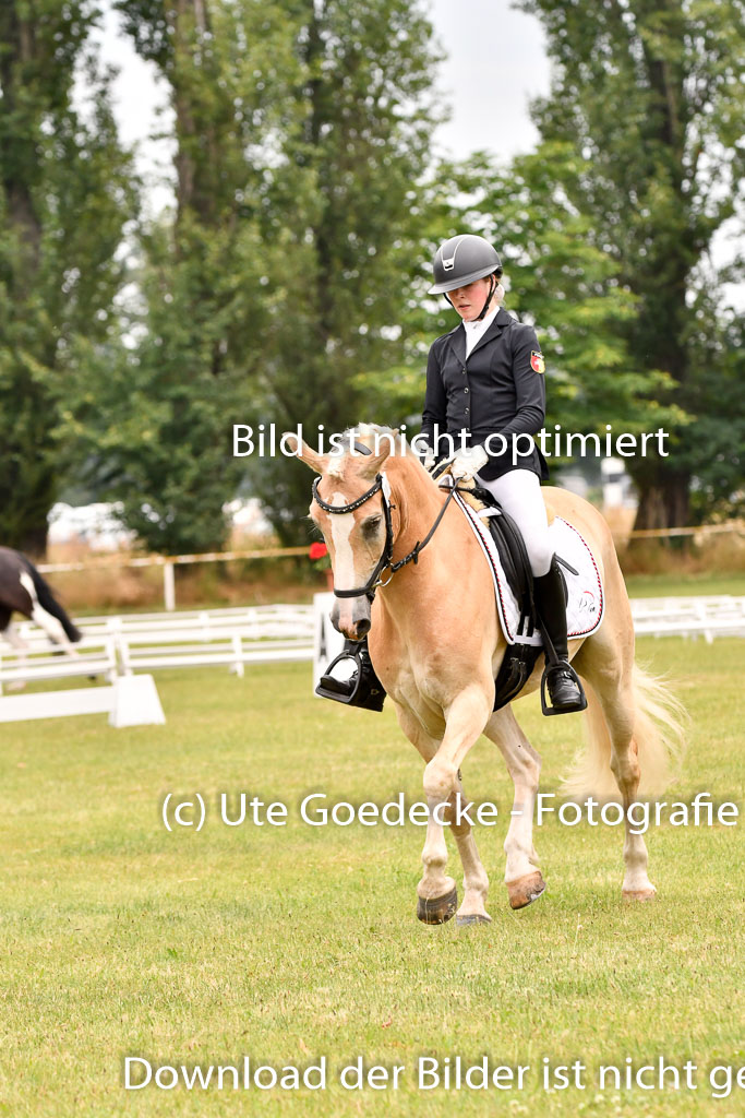 Goldene Schärpe Ponys in Hohenberg Krusemark 2024 | 12072024 Dressur _0548