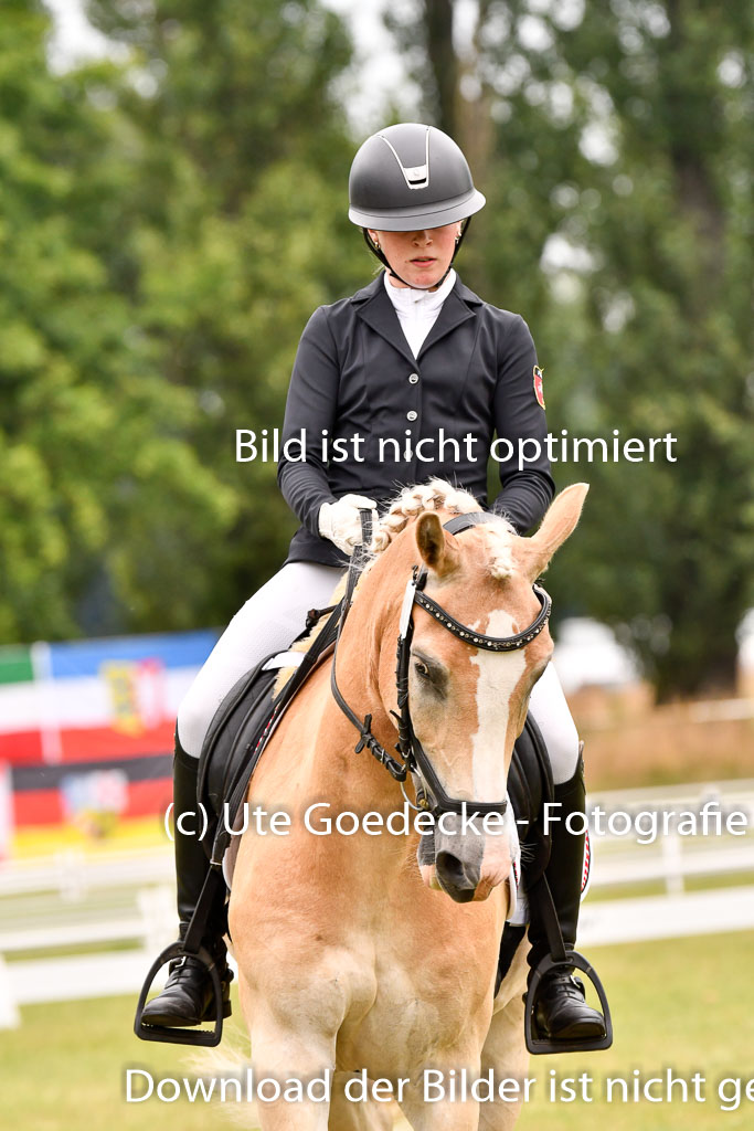 Goldene Schärpe Ponys in Hohenberg Krusemark 2024 | 12072024 Dressur _0549