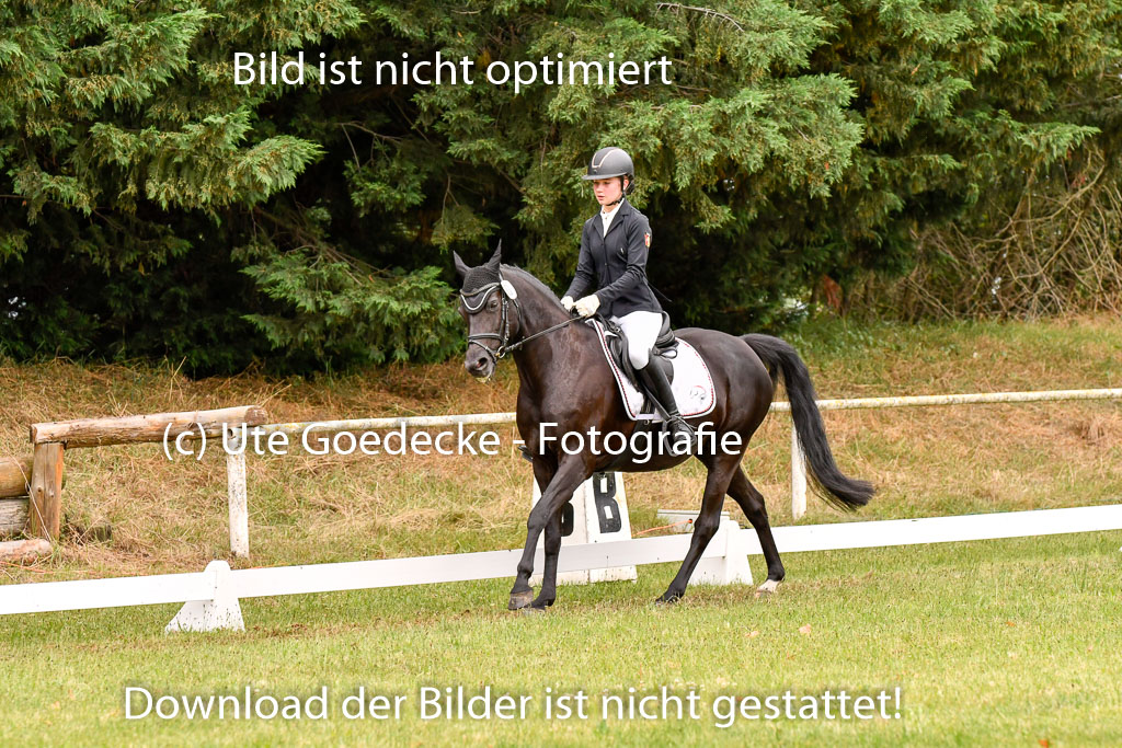 Goldene Schärpe Ponys in Hohenberg Krusemark 2024 | 12072024 Dressur _0553