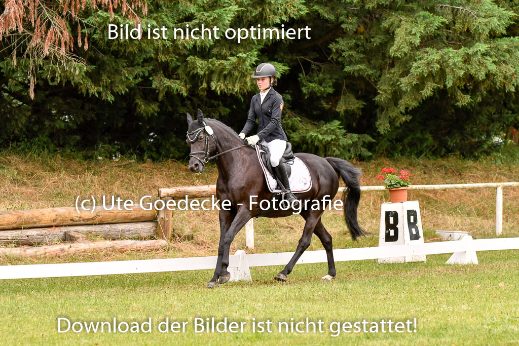 Goldene Schärpe Ponys in Hohenberg Krusemark 2024 | 12072024 Dressur _0554