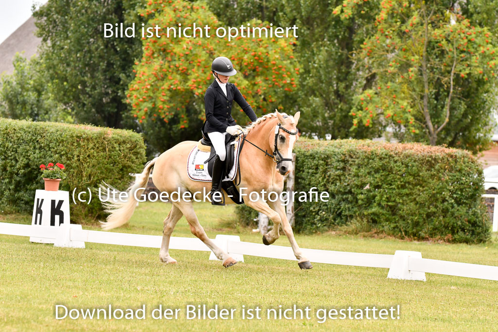 Goldene Schärpe Ponys in Hohenberg Krusemark 2024 | 12072024 Dressur _0555