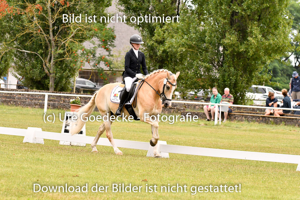 Goldene Schärpe Ponys in Hohenberg Krusemark 2024 | 12072024 Dressur _0557 