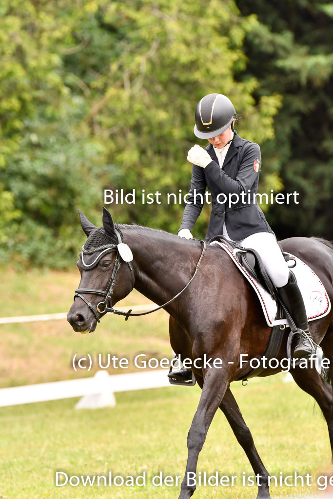 Goldene Schärpe Ponys in Hohenberg Krusemark 2024 | 12072024 Dressur _0559 