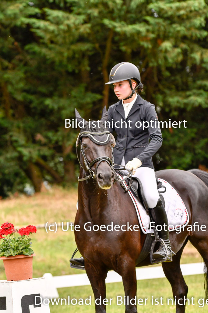 Goldene Schärpe Ponys in Hohenberg Krusemark 2024 | 12072024 Dressur _0563
