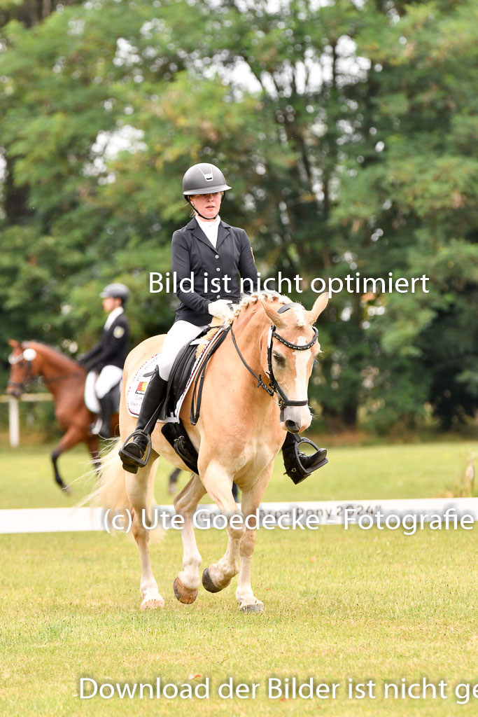 Goldene Schärpe Ponys in Hohenberg Krusemark 2024 | 12072024 Dressur _0564 