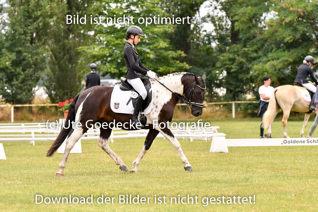 Goldene Schärpe Ponys in Hohenberg Krusemark 2024 | 12072024 Dressur _0567