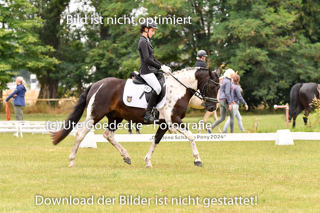 Goldene Schärpe Ponys in Hohenberg Krusemark 2024 | 12072024 Dressur _0568