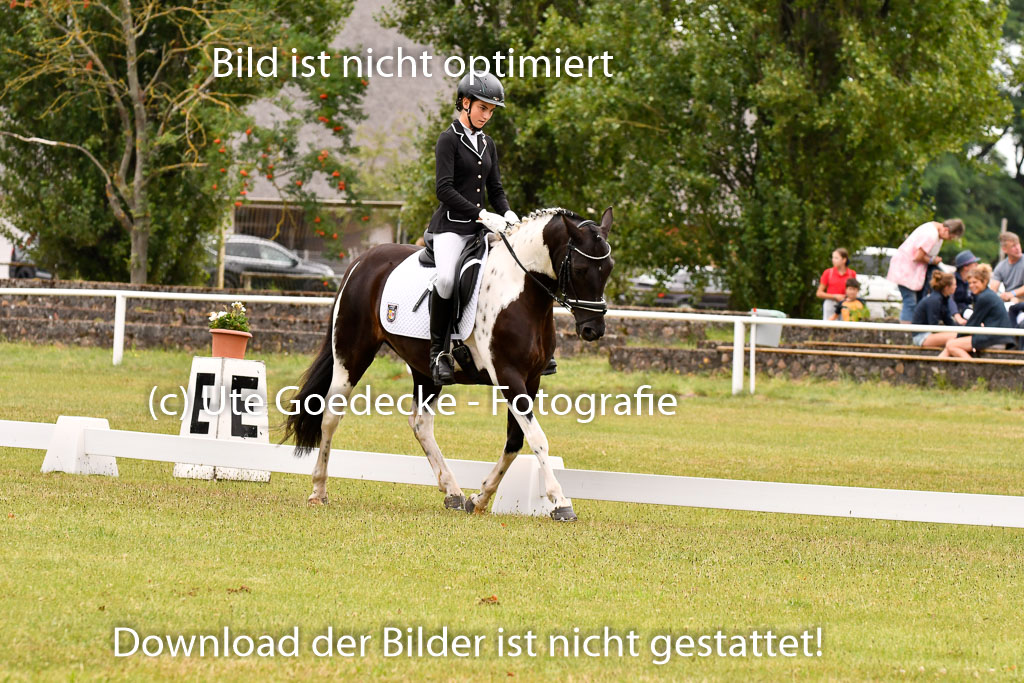 Goldene Schärpe Ponys in Hohenberg Krusemark 2024 | 12072024 Dressur _0569