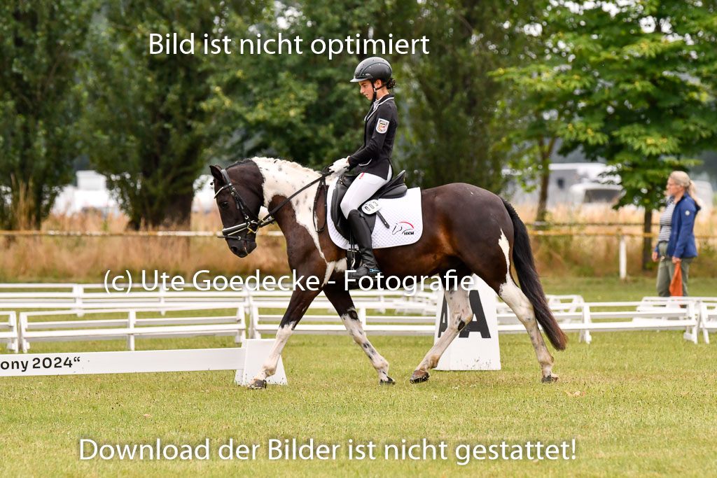 Goldene Schärpe Ponys in Hohenberg Krusemark 2024 | 12072024 Dressur _0571