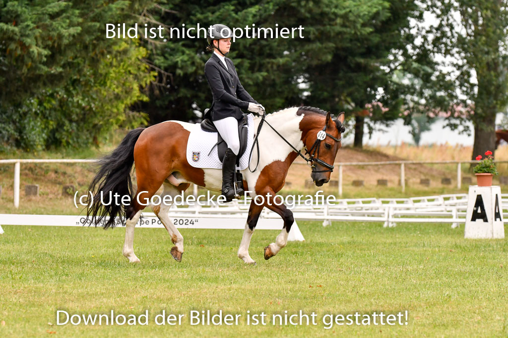 Goldene Schärpe Ponys in Hohenberg Krusemark 2024 | 12072024 Dressur _0573