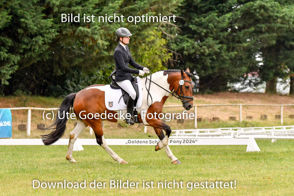 Goldene Schärpe Ponys in Hohenberg Krusemark 2024 | 12072024 Dressur _0574