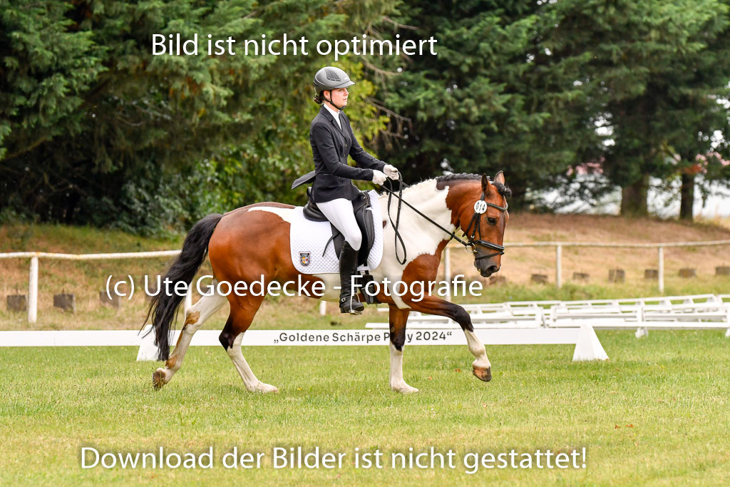 Goldene Schärpe Ponys in Hohenberg Krusemark 2024 | 12072024 Dressur _0575 