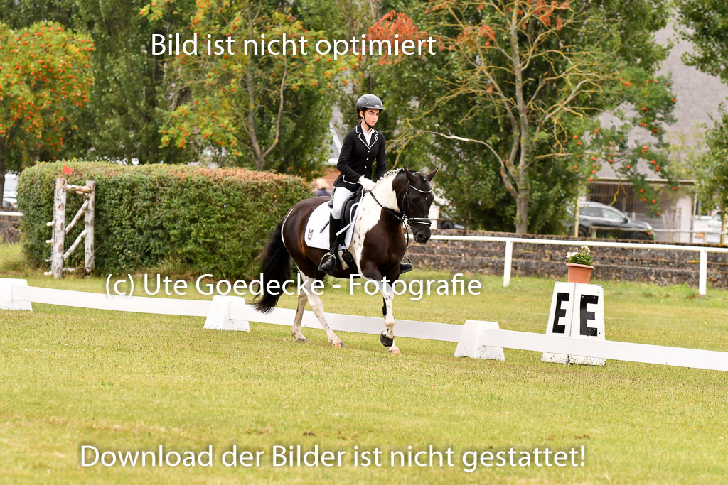 Goldene Schärpe Ponys in Hohenberg Krusemark 2024 | 12072024 Dressur _0576 