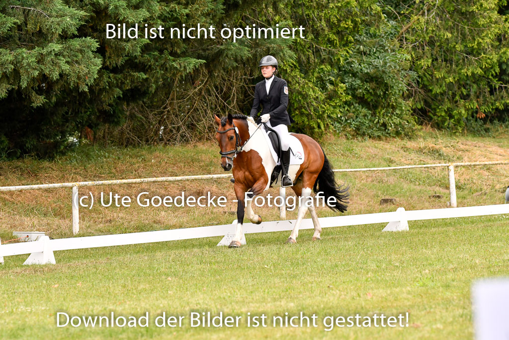 Goldene Schärpe Ponys in Hohenberg Krusemark 2024 | 12072024 Dressur _0578