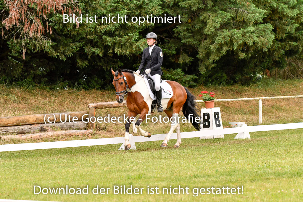 Goldene Schärpe Ponys in Hohenberg Krusemark 2024 | 12072024 Dressur _0579