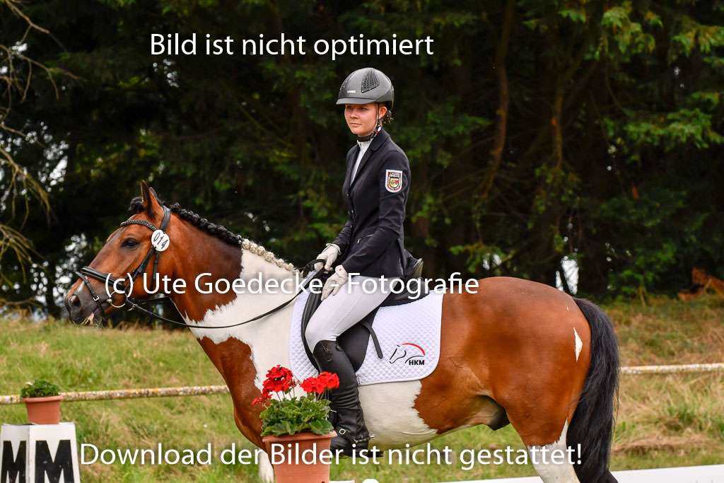 Goldene Schärpe Ponys in Hohenberg Krusemark 2024 | 12072024 Dressur _0585