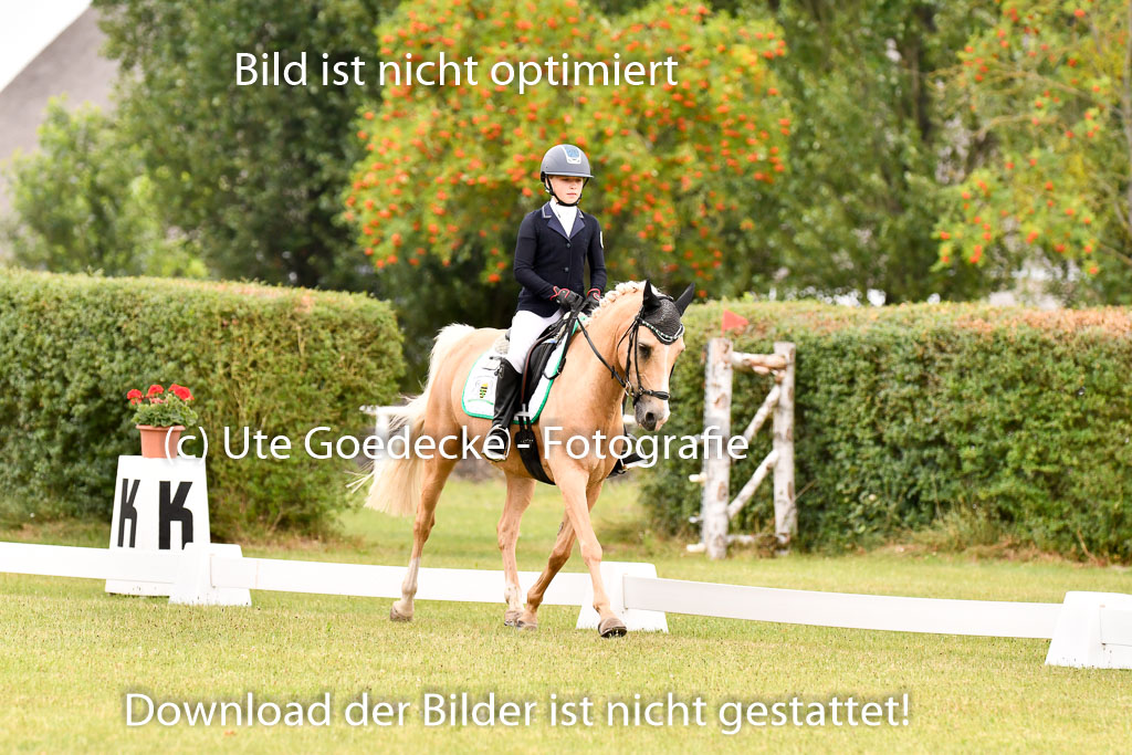 Goldene Schärpe Ponys in Hohenberg Krusemark 2024 | 12072024 Dressur _0586