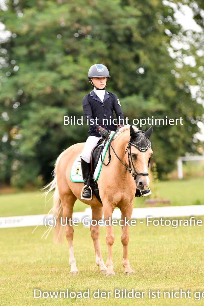 Goldene Schärpe Ponys in Hohenberg Krusemark 2024 | 12072024 Dressur _0590 