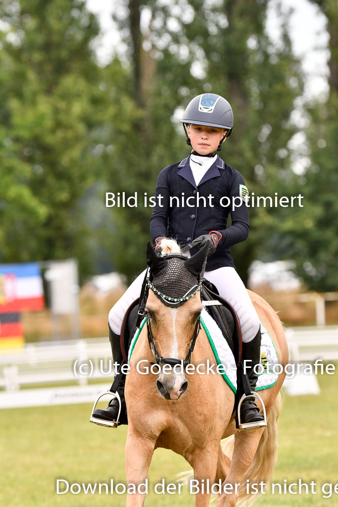 Goldene Schärpe Ponys in Hohenberg Krusemark 2024 | 12072024 Dressur _0592