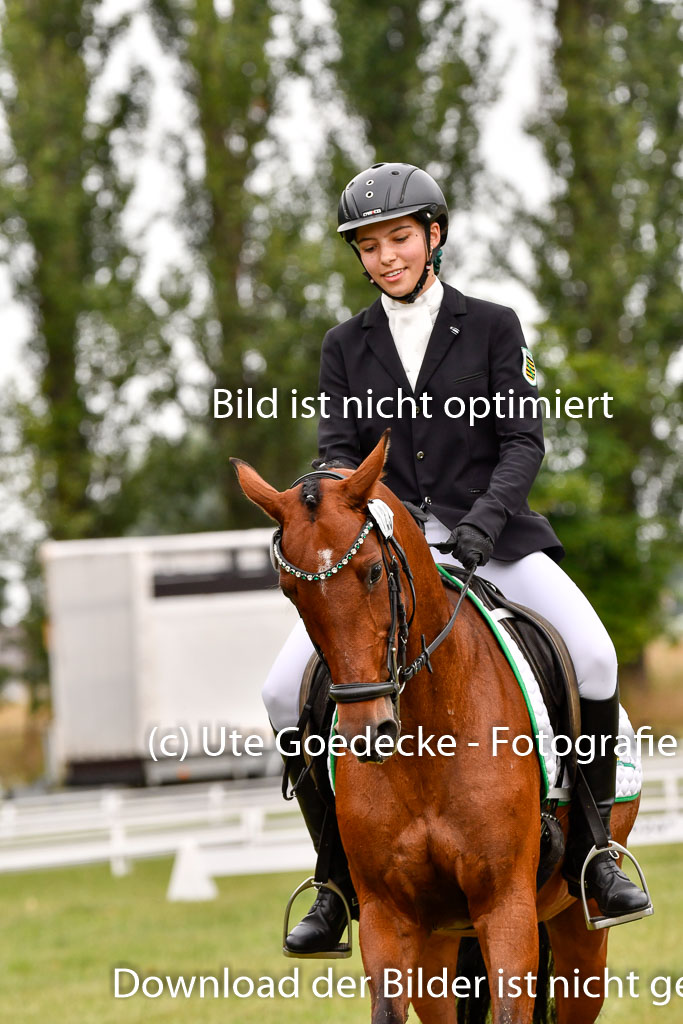 Goldene Schärpe Ponys in Hohenberg Krusemark 2024 | 12072024 Dressur _0594