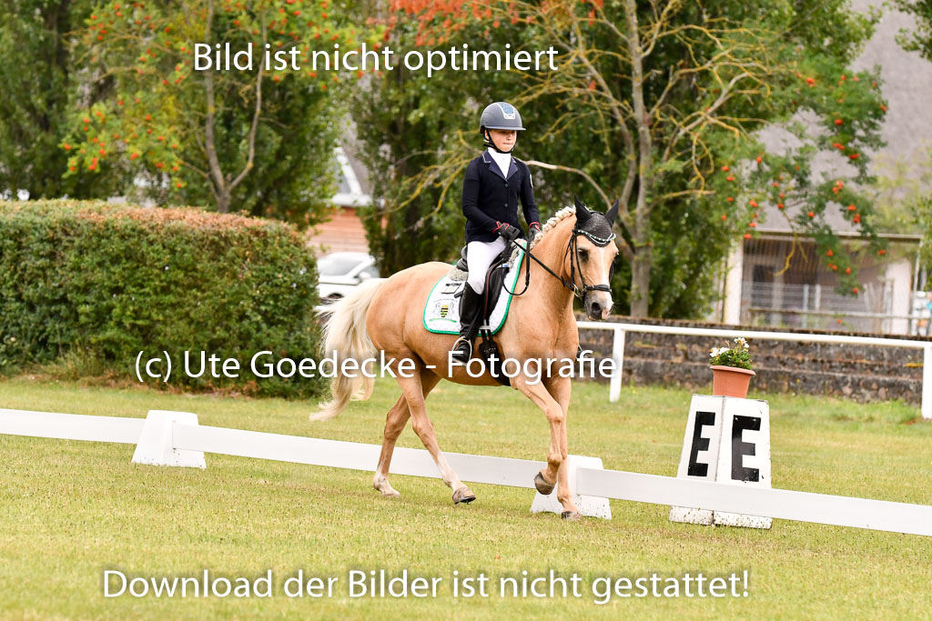 Goldene Schärpe Ponys in Hohenberg Krusemark 2024 | 12072024 Dressur _0596 