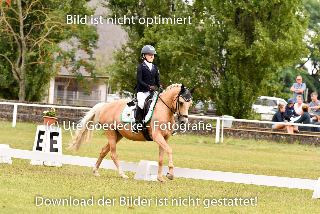 Goldene Schärpe Ponys in Hohenberg Krusemark 2024 | 12072024 Dressur _0597