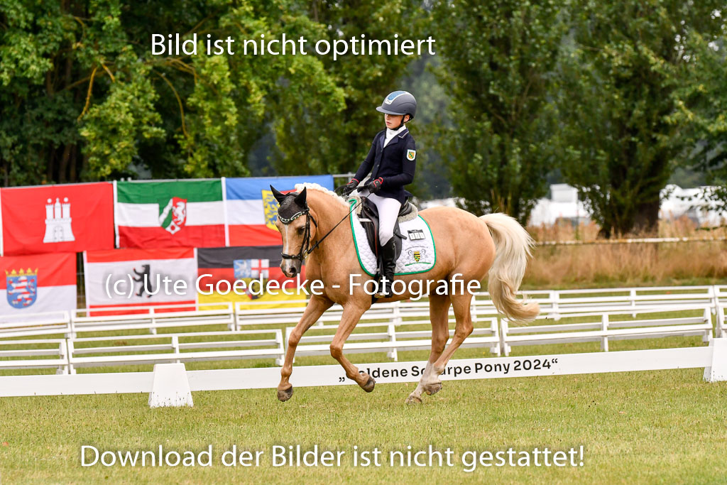 Goldene Schärpe Ponys in Hohenberg Krusemark 2024 | 12072024 Dressur _0601 