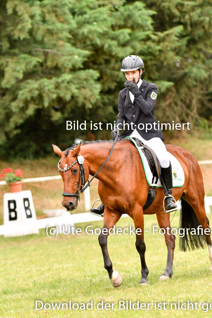 Goldene Schärpe Ponys in Hohenberg Krusemark 2024 | 12072024 Dressur _0602 