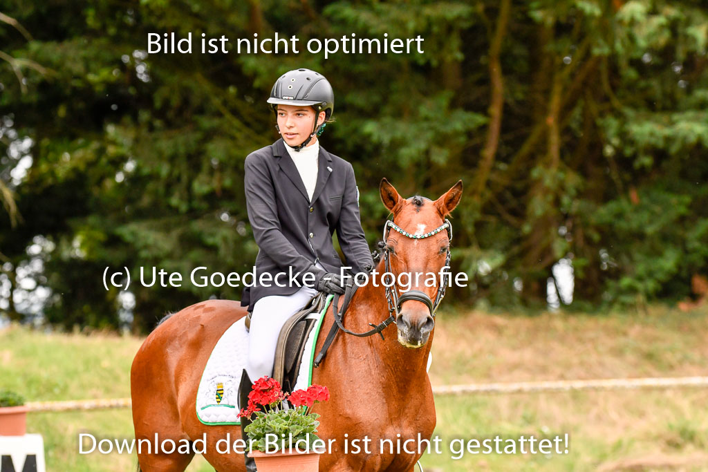 Goldene Schärpe Ponys in Hohenberg Krusemark 2024 | 12072024 Dressur _0603 