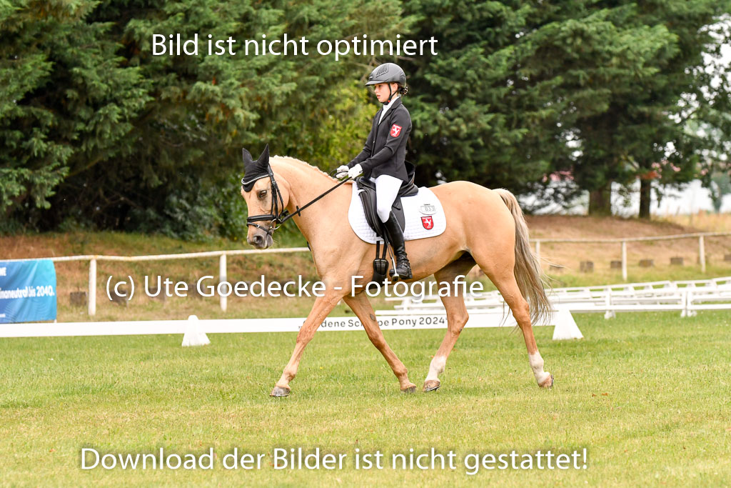 Goldene Schärpe Ponys in Hohenberg Krusemark 2024 | 12072024 Dressur _0607