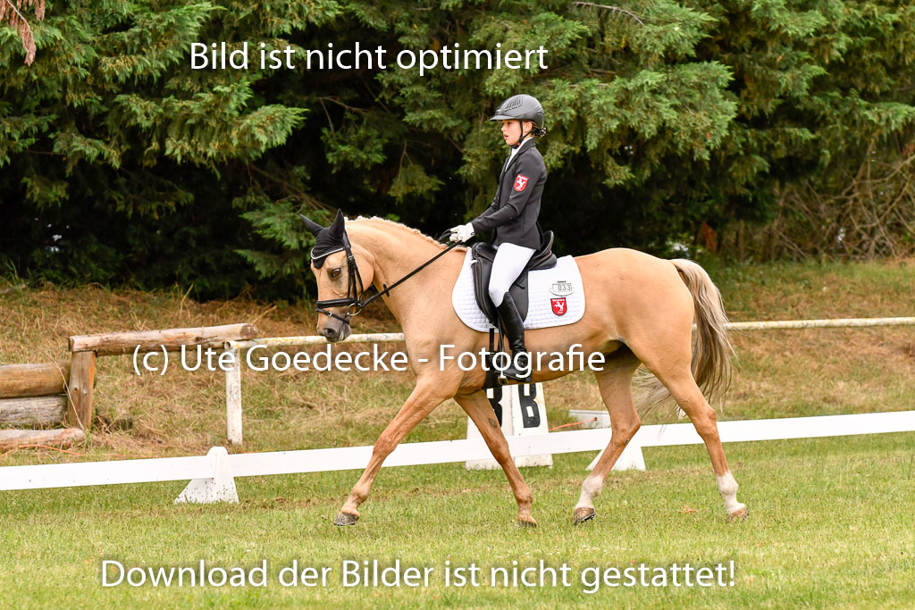 Goldene Schärpe Ponys in Hohenberg Krusemark 2024 | 12072024 Dressur _0608