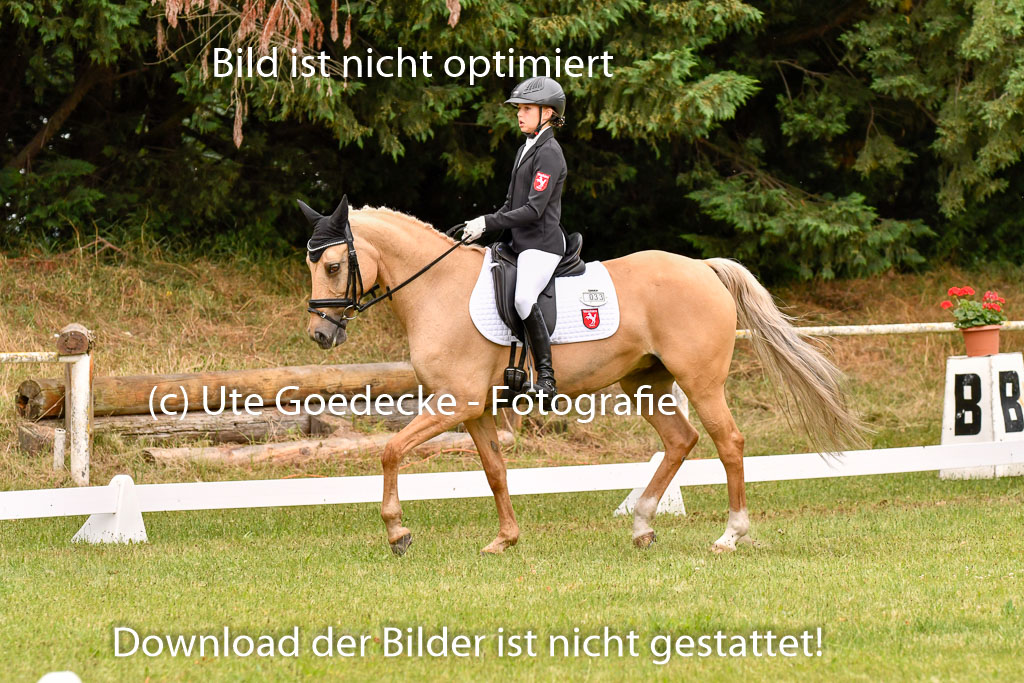 Goldene Schärpe Ponys in Hohenberg Krusemark 2024 | 12072024 Dressur _0609 