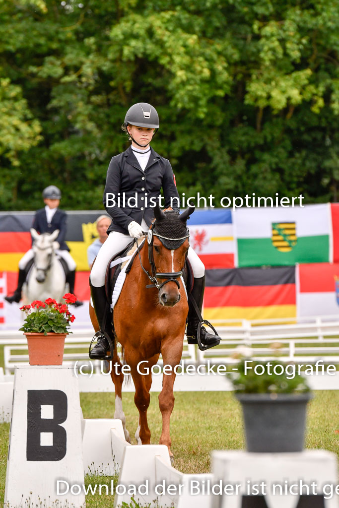 Goldene Schärpe Ponys in Hohenberg Krusemark 2024 | 12072024 Dressur _0610 