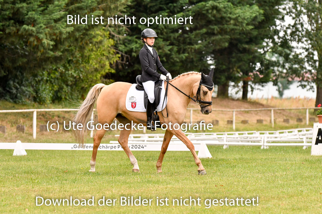 Goldene Schärpe Ponys in Hohenberg Krusemark 2024 | 12072024 Dressur _0612